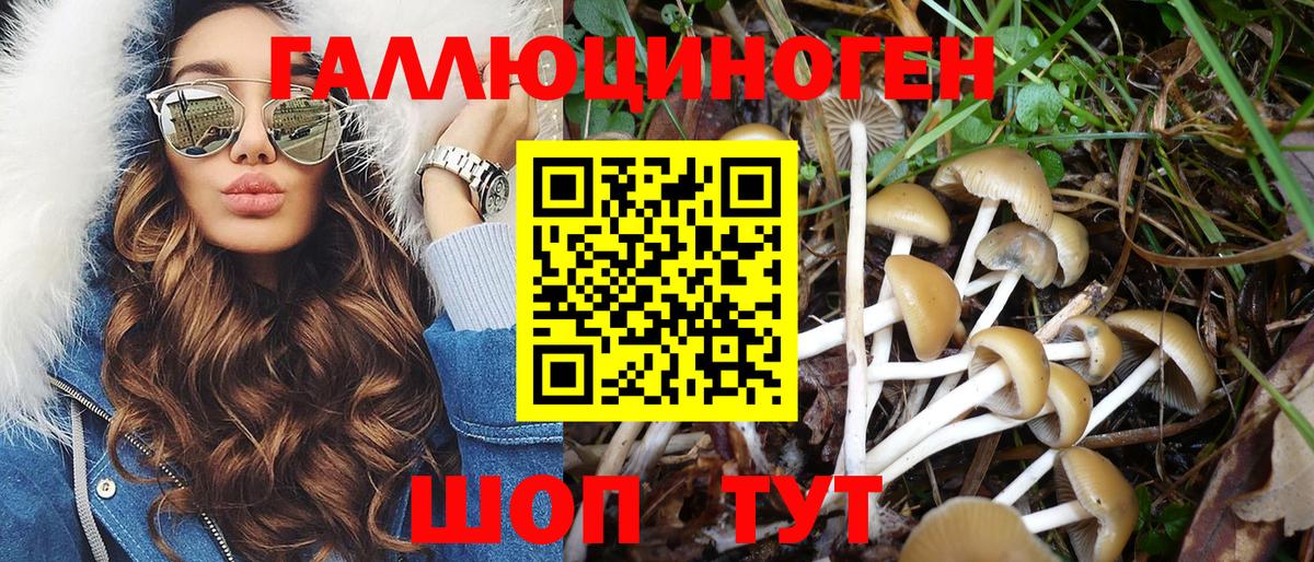 Галлюциногенные грибы ЛСД Ессентуки
