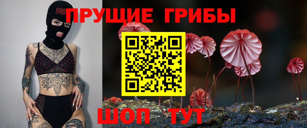  COCAIN Ессентуки