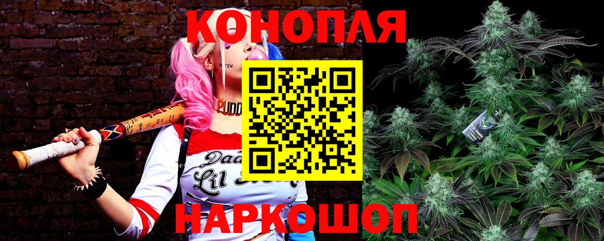 Бошки Шишки планчик  Бошки марихуана семена  Ессентуки  Каннабис Ganja  Вход с VPN 